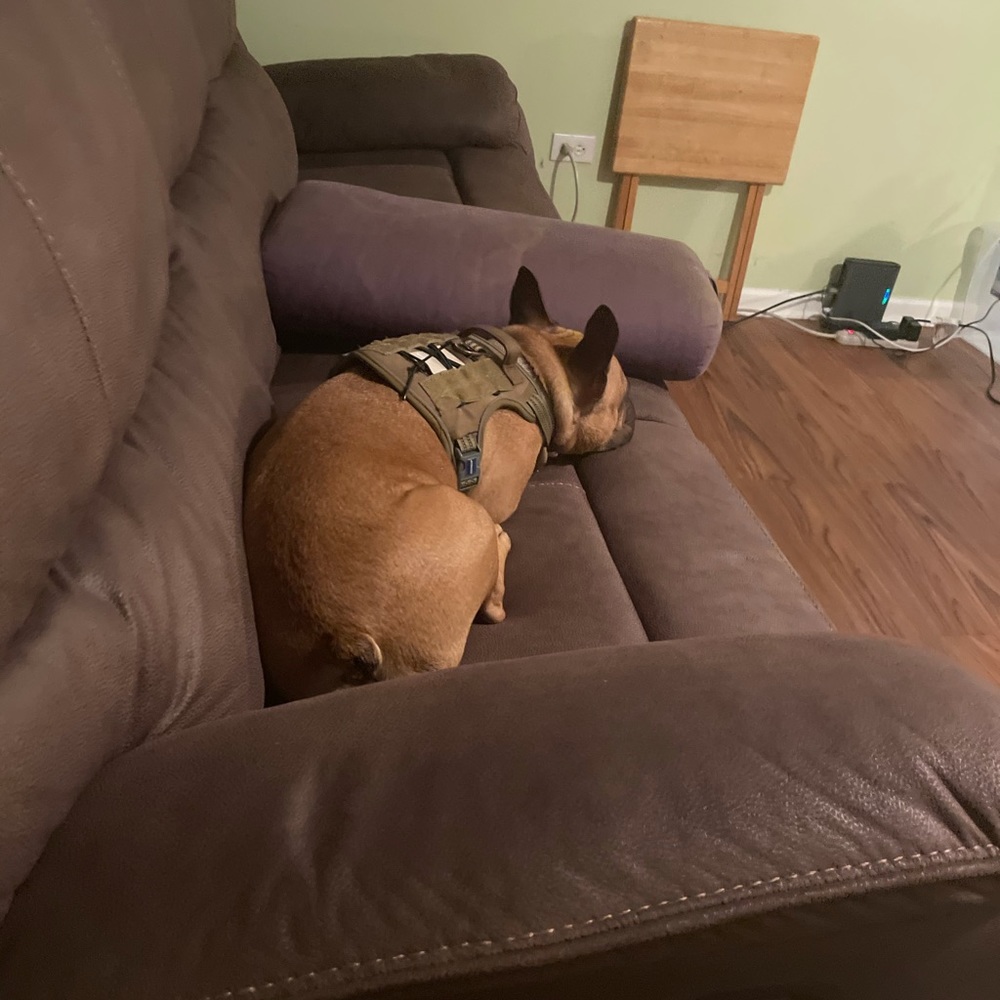 Meet your Posher, Max